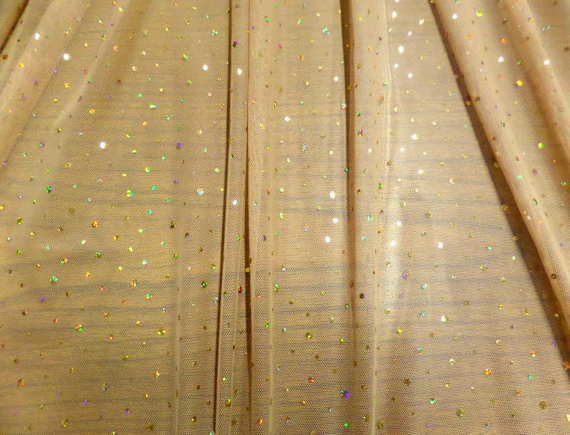 3.Nude-Gold Mesh With Holo Sequins